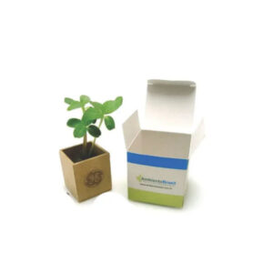 Kit Plantio com Vaso Personalizado