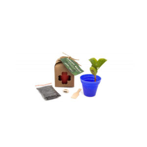 Kit Semente Mágica Jutinha