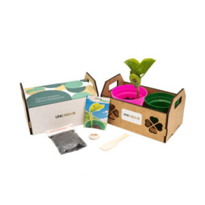 Kit Cultivo Ecológico Personalizado