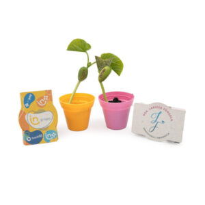 Kit Cultivo Plantio Personalizado