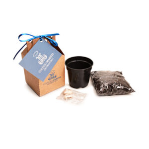 Kit Cultivo semente Personalizado Brindes