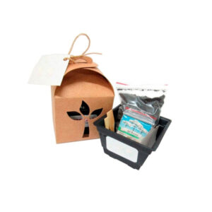 Kit Plantio Kraft com Semente Personalizado